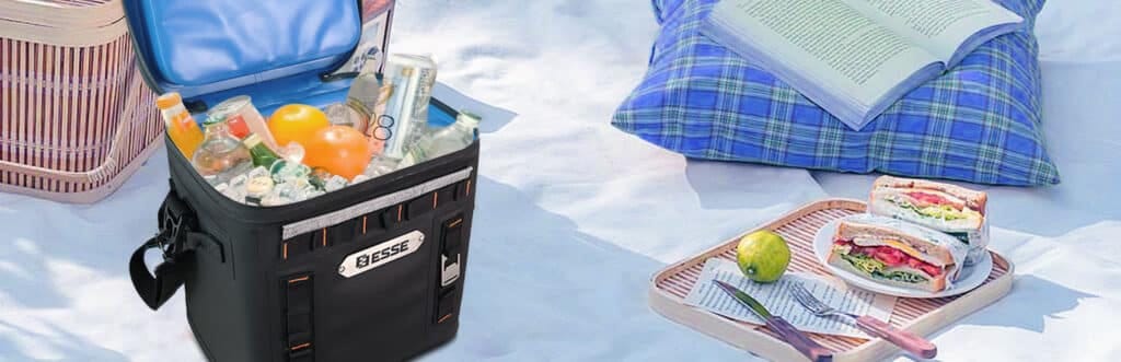Cooler Bag and your journey stays fresh