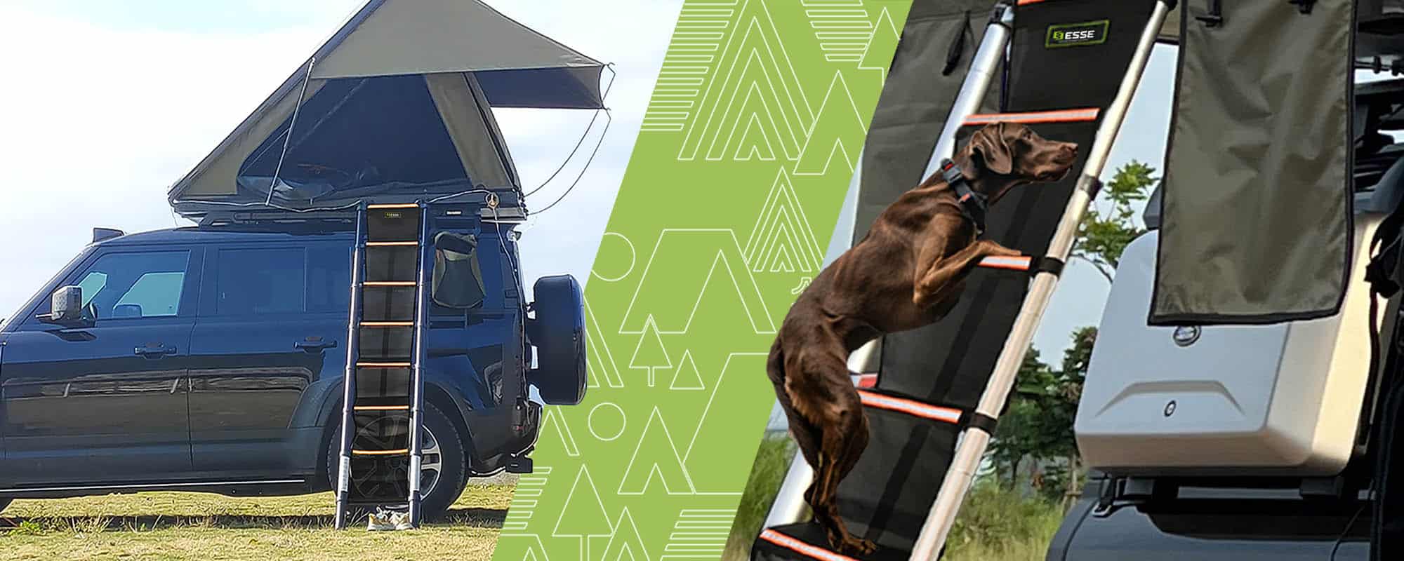 DOG STEPS: Ensuring Safe and Comfortable Climbing Every Time 1